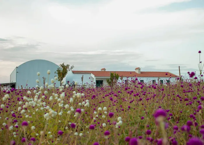 Monte De Palma- Quinta Biodinamica Momentos Unicos
