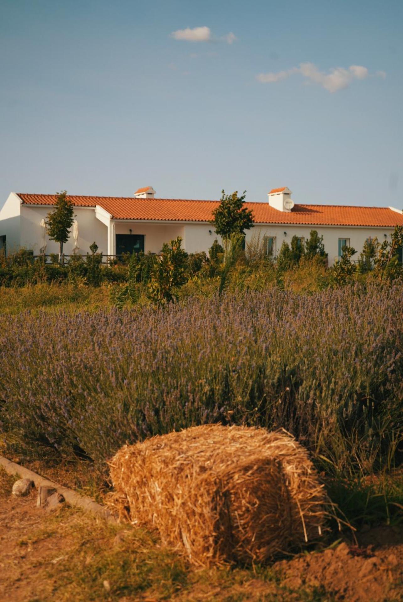 Monte De Palma- Quinta Biodinamica Momentos Unicos Holiday home *